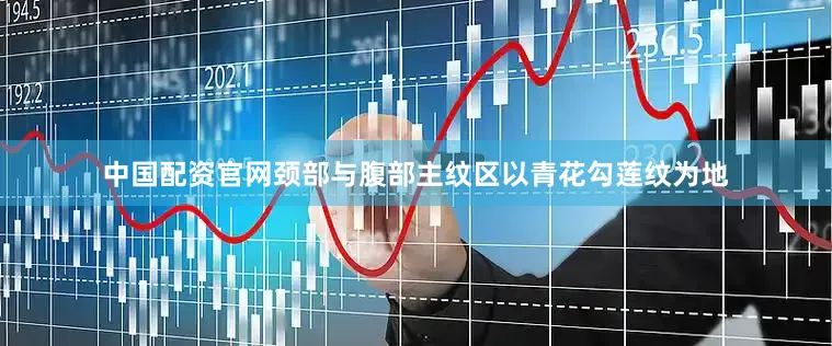 中国配资官网颈部与腹部主纹区以青花勾莲纹为地